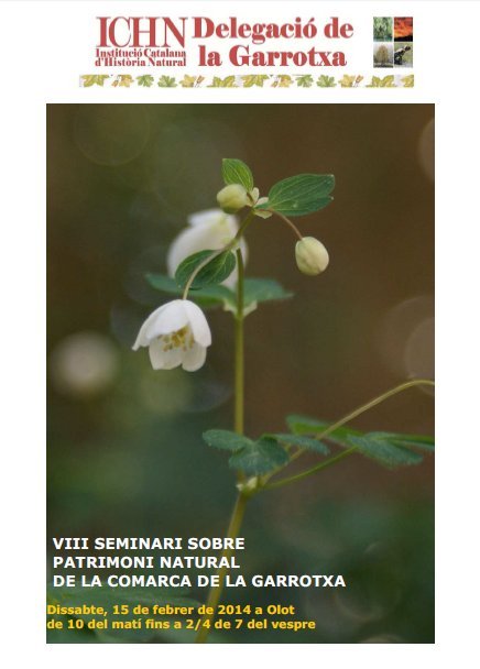 Cartell VIII Seminari