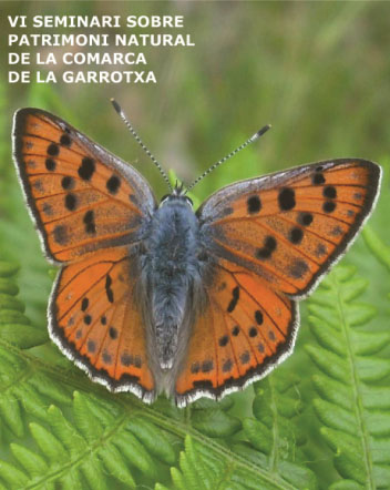 VI seminari_garrotxa