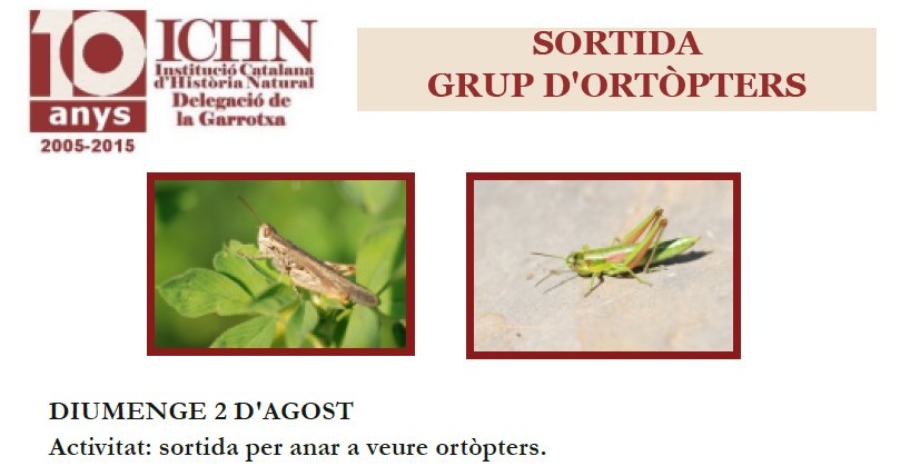 sortida ortopters